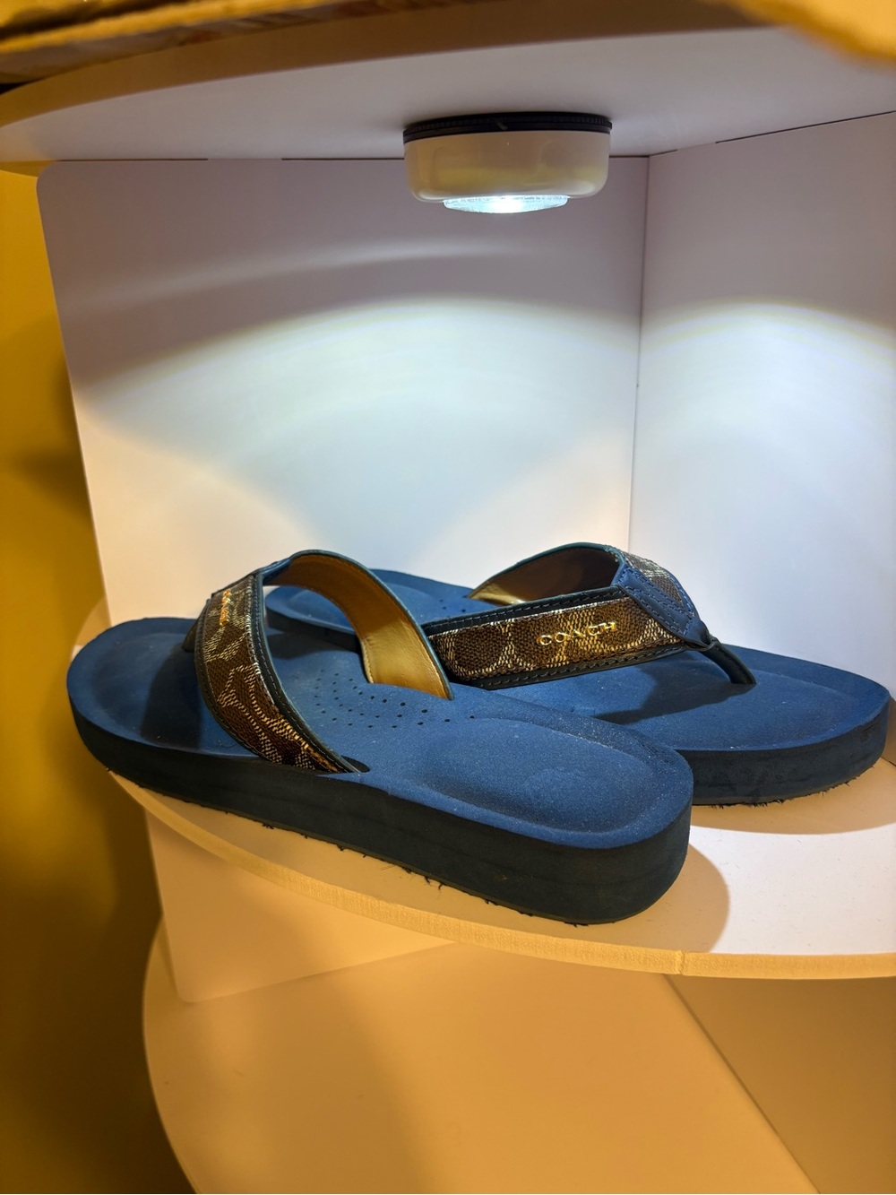 Blue Coach Slides Platform Flip Flops with Brown Patterned Straps